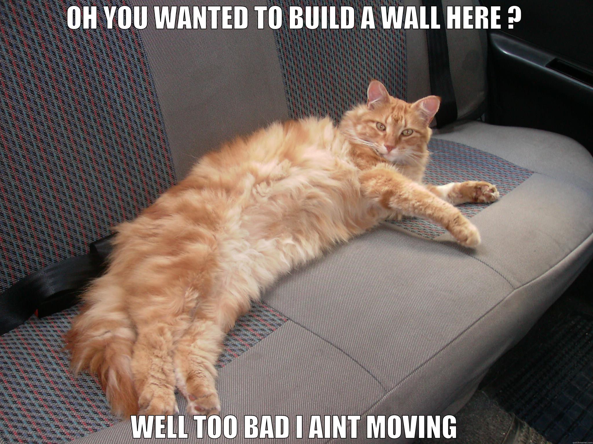OH YOU WANTED TO BUILD A WALL HERE ? WELL TOO BAD I AINT MOVING Misc