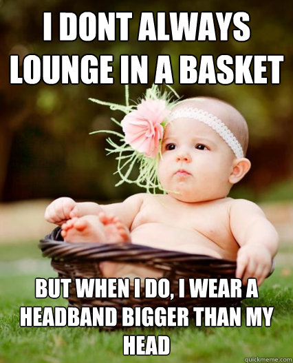 I dont always lounge in a basket but when I do, I wear a headband bigger than my head - I dont always lounge in a basket but when I do, I wear a headband bigger than my head  Misc