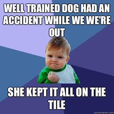 Well trained dog had an accident while we we're out She kept it all on the tile  Success Kid