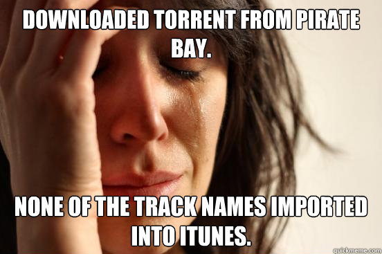 Downloaded torrent from Pirate Bay. None of the track names imported into iTunes.  First World Problems