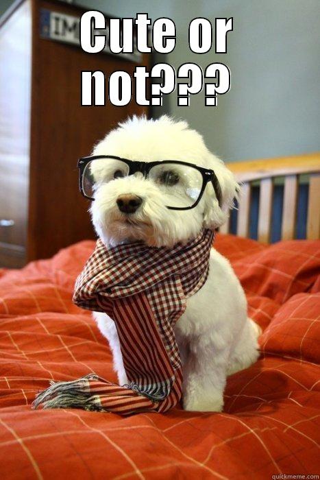 CUTE OR NOT???  Hipster Dog