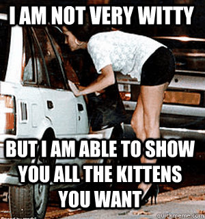 I am not very witty  but I am able to show you all the kittens you want    Karma Whore