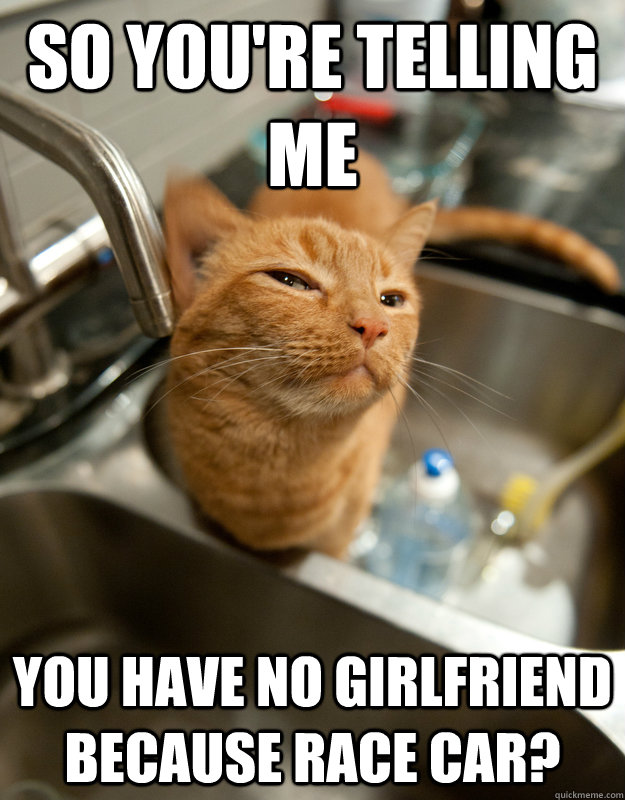 So you're telling me You have no girlfriend because race car?  Skeptical cat