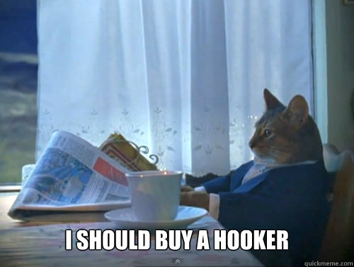 I should buy a hooker  The One Percent Cat