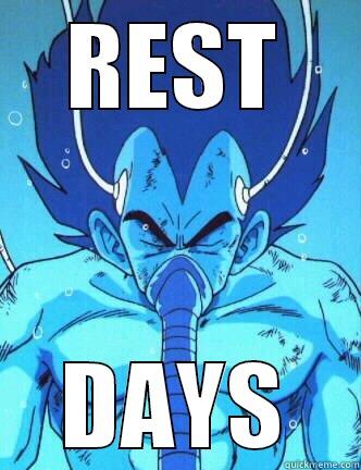 REST DAYS Misc