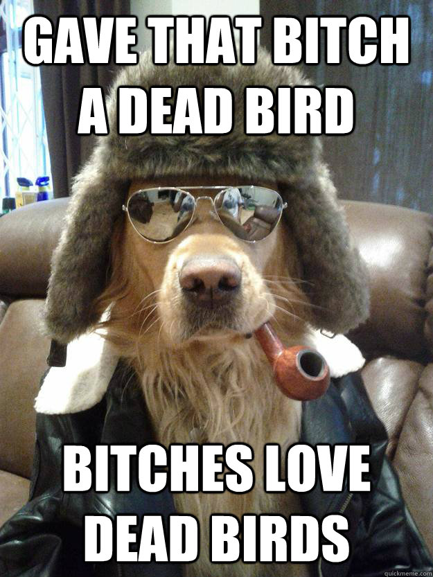 Gave that bitch a dead bird Bitches love dead birds - Gave that bitch a dead bird Bitches love dead birds  Overly Suave Dog