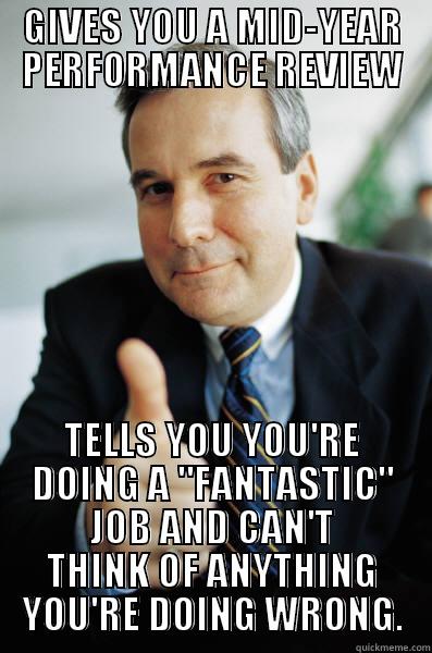 GIVES YOU A MID-YEAR PERFORMANCE REVIEW TELLS YOU YOU'RE DOING A 