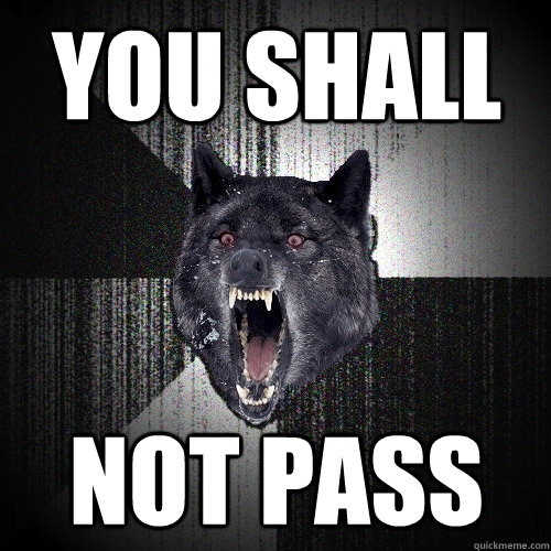 you shall not pass  Insanity Wolf