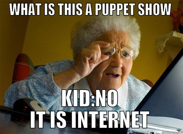 WHAT IS THIS A PUPPET SHOW KID:NO IT IS INTERNET Grandma finds the Internet