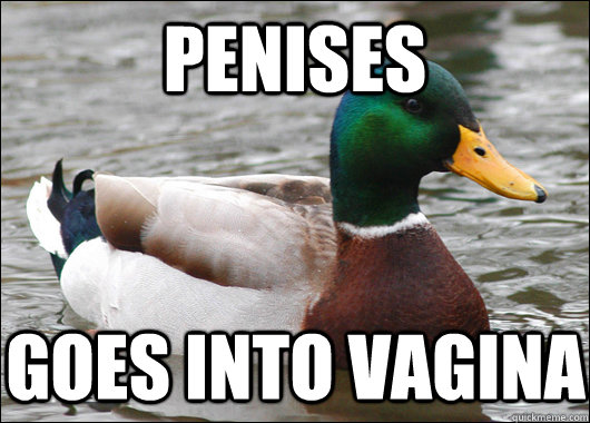 penises goes into vagina  Actual Advice Mallard