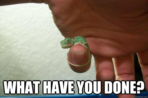  What have you done? -  What have you done?  Misc