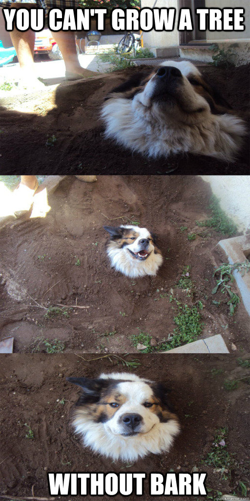 You can't grow a tree without bark - You can't grow a tree without bark  Misc