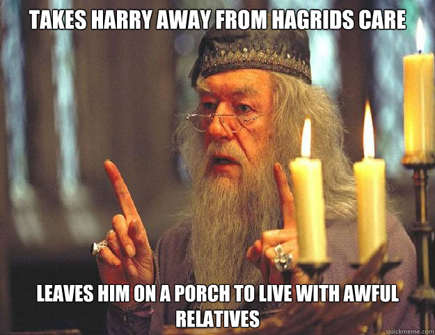 Takes Harry away from Hagrids care Leaves him on a porch to live with awful relatives   Dumbledore