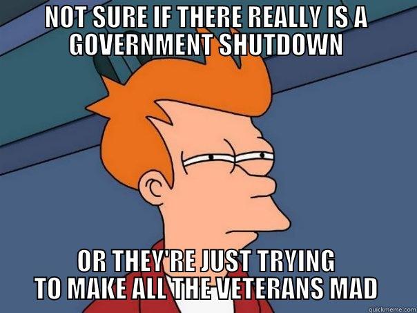   - NOT SURE IF THERE REALLY IS A GOVERNMENT SHUTDOWN OR THEY'RE JUST TRYING TO MAKE ALL THE VETERANS MAD Futurama Fry
