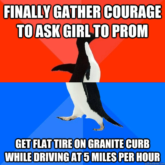 finally gather courage to ask girl to prom get flat tire on granite curb while driving at 5 miles per hour  Socially Awesome Awkward Penguin