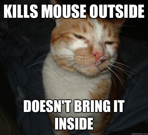 Kills mouse outside Doesn't bring it inside  Good Guy Cat