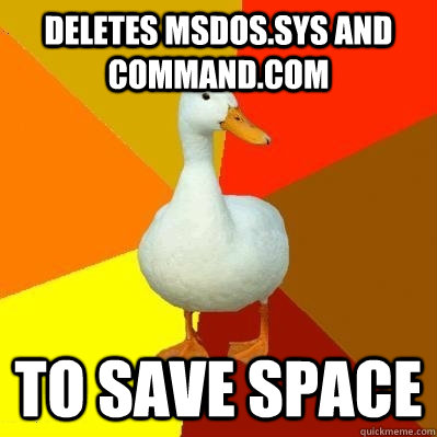 Deletes MSDOS.SYS and COMMAND.COM to save space  Tech Impaired Duck
