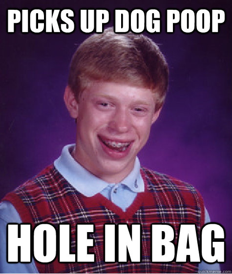 Picks up dog poop hole in bag  Bad Luck Brian
