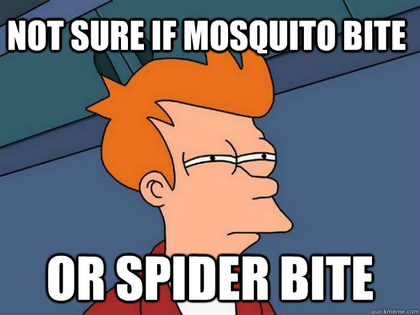 Not Sure if mosquito bite or spider bite  Futurama Fry
