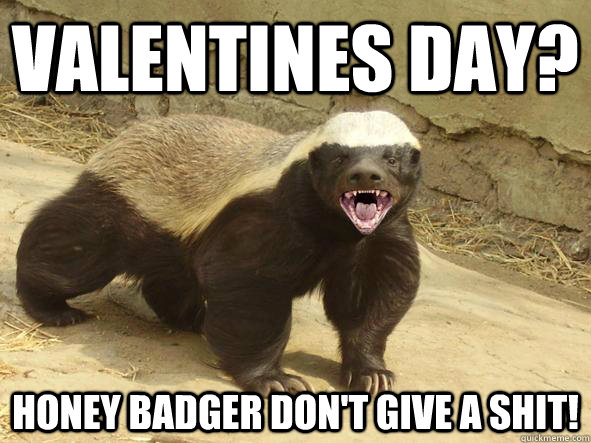 Valentines day? Honey badger don't give a shit!  Indifferent Honey Badger