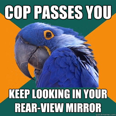 Cop passes you  keep looking in your rear-view mirror  Paranoid Parrot