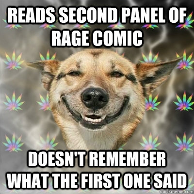 Reads second panel of rage comic doesn't remember what the first one said  Stoner Dog