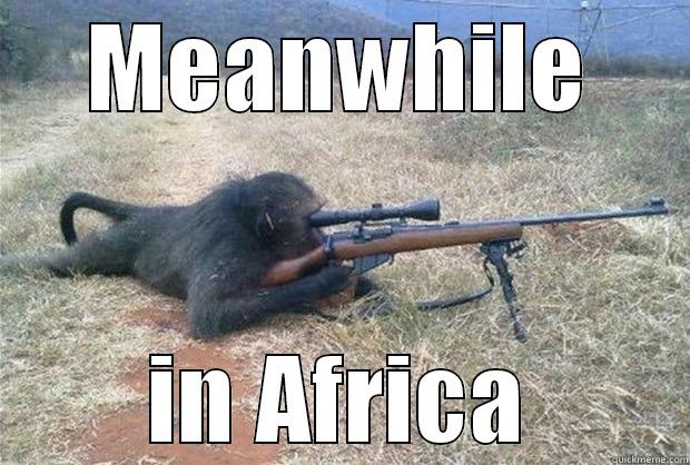 MEANWHILE IN AFRICA Misc