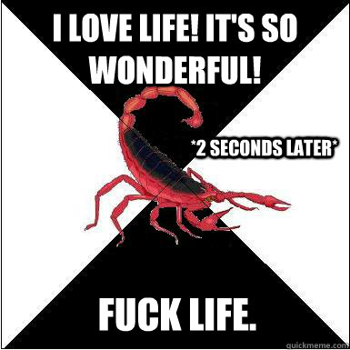 i love life! It's so wonderful! *2 seconds later* FUCK LIFE.  Caption 4 goes here  