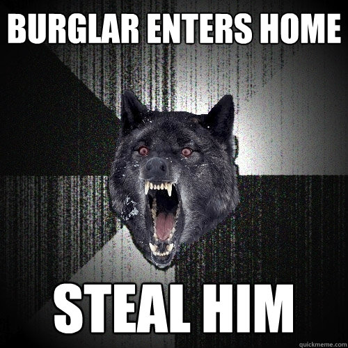 Burglar enters home Steal him  Insanity Wolf