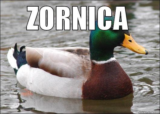 ZORNICA  Actual Advice Mallard