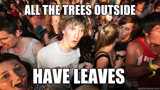 All the trees outside have leaves  Sudden Clarity Clarence