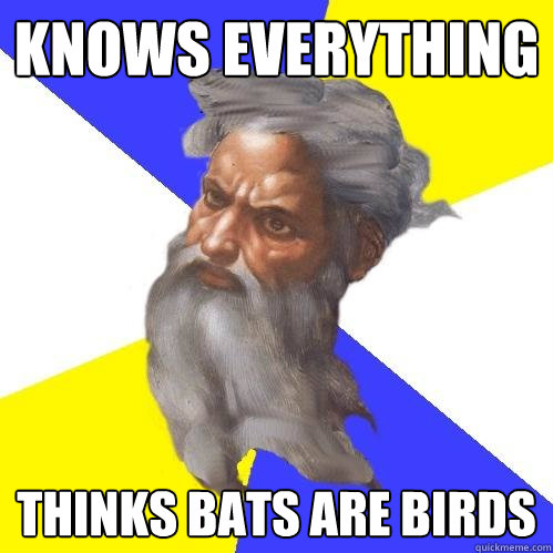 Knows everything Thinks bats are birds  Advice God