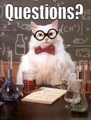Questions?  - QUESTIONS?  Chemistry Cat