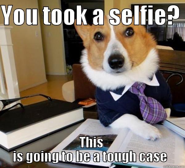 YOU TOOK A SELFIE?  THIS IS GOING TO BE A TOUGH CASE  Lawyer Dog