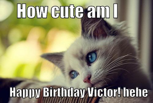      HOW CUTE AM I                      HAPPY BIRTHDAY VICTOR! HEHE  First World Problems Cat