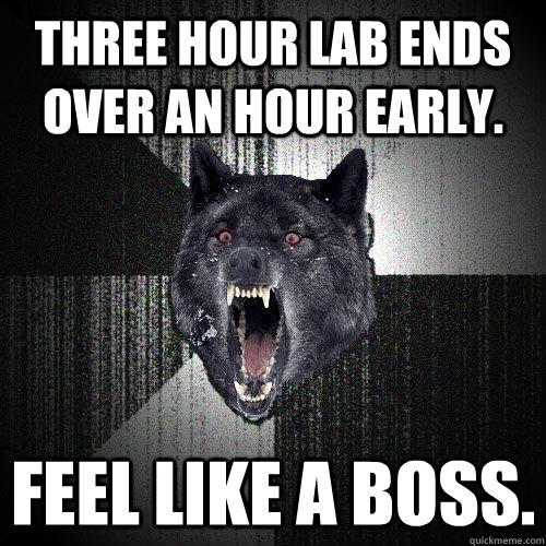 Three hour lab ends over an hour early. Feel like a boss.  Insanity Wolf