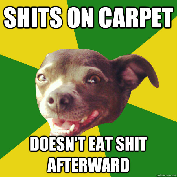 Shits on carpet Doesn't eat shit afterward  Good Guy Dog