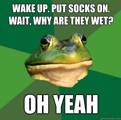 wake up. put socks on. wait, why are they wet? oh yeah  Foul Bachelor Frog
