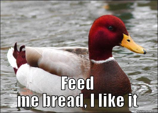  FEED ME BREAD, I LIKE IT Malicious Advice Mallard
