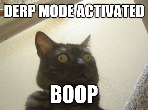 Derp Mode Activated Boop  Derp Cat