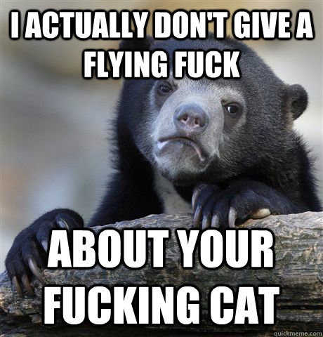 I actually don't give a flying fuck about your fucking cat  Confession Bear