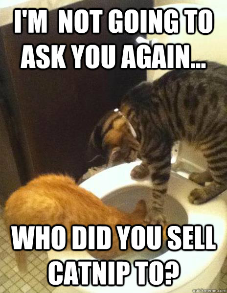 I'm  not going to ask you again... Who did you sell catnip to?  