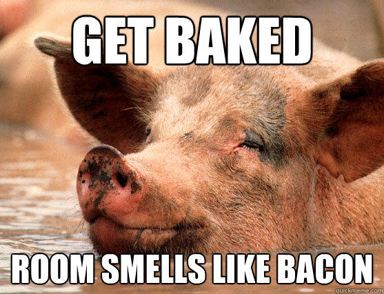get baked room smells like bacon  