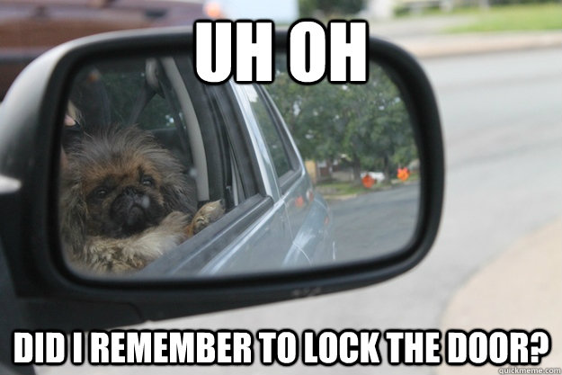 uh oh Did i remember to lock the door?  - uh oh Did i remember to lock the door?   Forgetful Dog