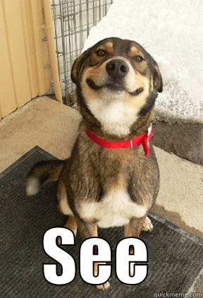   SEE Good Dog Greg