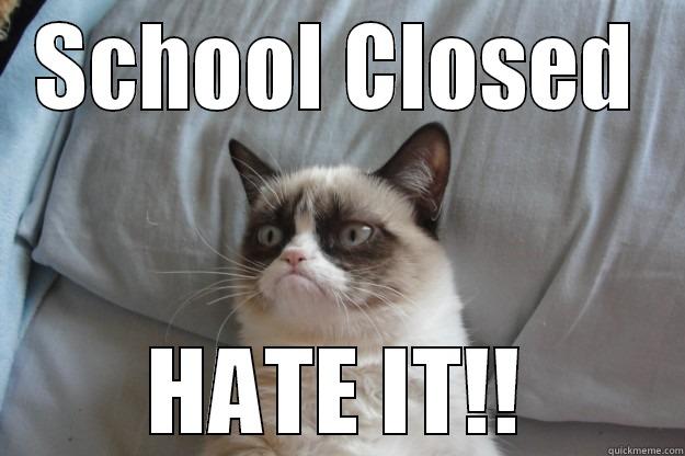 SCHOOL CLOSED HATE IT!! Grumpy Cat