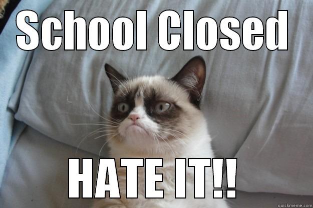 SCHOOL CLOSED HATE IT!! Grumpy Cat