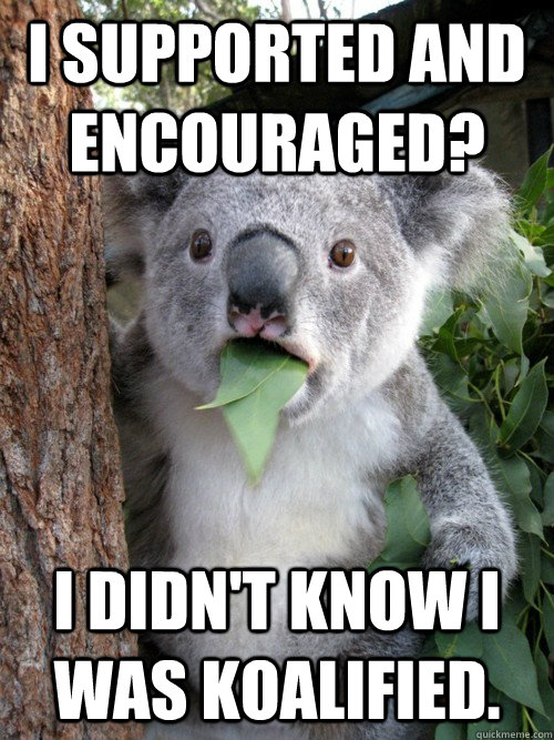 I supported and encouraged? I didn't know I was koalified.  Surprised Koala