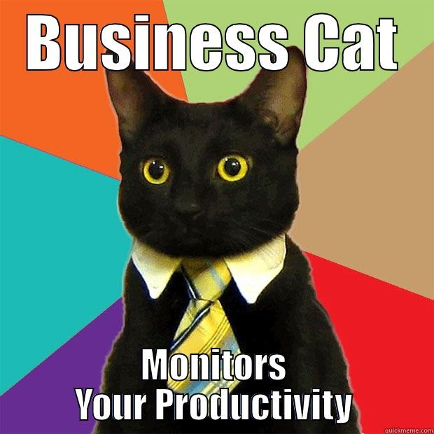 BUSINESS CAT MONITORS YOUR PRODUCTIVITY Business Cat