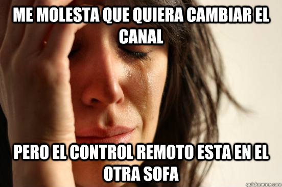 Me molesta que quiera cambiar el canal pero el control remoto esta en el otra sofa  First World Problems